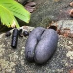 Blog Ta no mundo - Ilhas seychelles