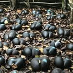 Blog Ta no mundo - Ilhas seychelles