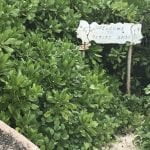 Blog Ta no mundo - Ilhas seychelles