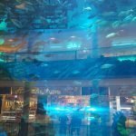 Dubai guia completo www.tanomundo.com