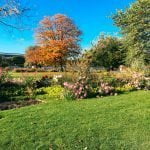 Blog de Viagem - Paris Roteiro Grátis